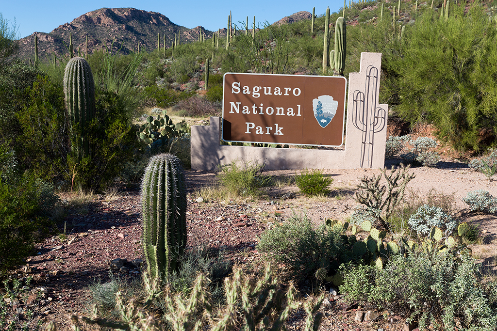 10-20 - 05.jpg - Saguaro National Park, West Part